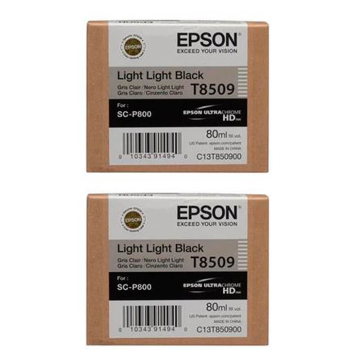 Картридж Epson T850900 LLBlack C13T850900
