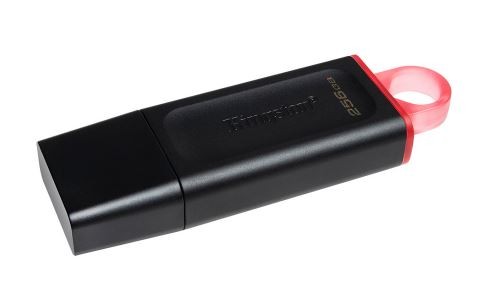 USB-накопитель Kingston DTX/256GB 256GB Чёрный